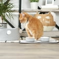 thumbnail image 5 of Bone Dry Chevron Ceramic Pet Bowls Microwave & Dishwasher Safe, Small 4.25x2", Gray, 2 Count, 5 of 5