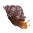 thumbnail image 4 of Caracol de simulación materiales de goma no fáciles de desvanecer Caracol artificial de goma para acuario para pecera ANGGREK  Otros, 4 of 8