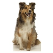 Advanced Graphics 624 Collie Dog- 36" x 24" Cardboard Standup