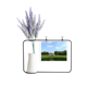 thumbnail image 1 of Fotografia de zonas verdes parque Tarjeta de jarrón de lavanda artificial, 1 of 3