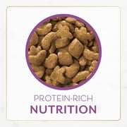 Purina Fancy Feast Dry Cat Food with Savory Farm-Raised Chicken and Turkey, 12 lb.