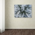 thumbnail image 3 of Trademark Fine Art "Frost at Zero Degrees" Canvas Art by Kurt Shaffer, 3 of 3