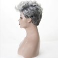 Synthetic Hair Blonde Short Curly Wigs for African American Wig for