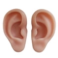 thumbnail image 2 of 1:1 Ear Model, Soft Silicone Right and Left Ear, Highly Simulated Details for Practice Demonstration Learning Teaching Prop, 2 of 3