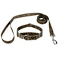 thumbnail image 7 of Country Brook Petz® Leopard Print Martingale Dog Collar and Leash, 2XS, 7 of 7