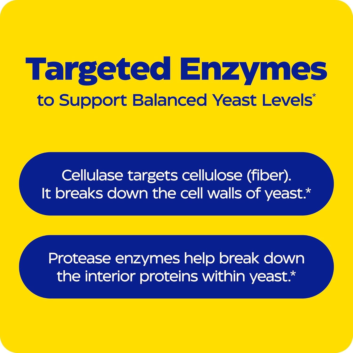 Enzymedica, Candidase, 120 Capsules, Enzyme Supplement to Support Balanced Yeast Levels and Digestive Health, Vegan, 60 Servings