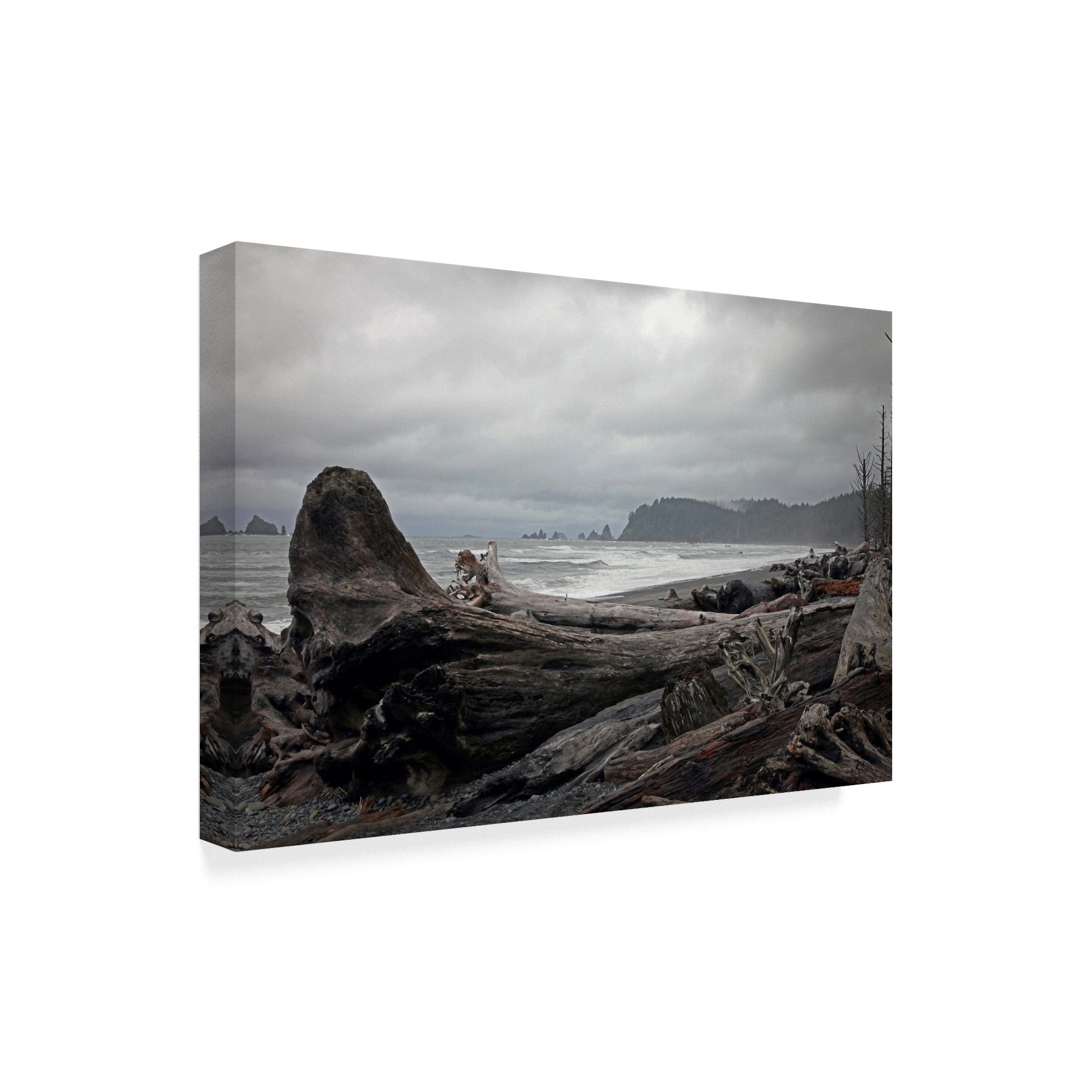 Trademark Fine Art 'Olympic Np 3' Canvas Art by J.D. McFarlan