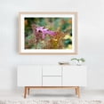 thumbnail image 6 of Autumnal Garden Poetry - Bezirk Pankow Berlin Germany Photography Autumn Nature Botanical Floral Woodland Scenic Minimalist Unframed Wall Art Print 12 x 18 inches, 6 of 7