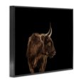 thumbnail image 2 of Stupell Industries Farmhouse Cattle Side Portrait Minimal Modern Farm Photography Black Framed Giclee Art, 20 x 16, by Marika Moffit, 2 of 7