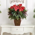 thumbnail image 3 of Nearly Natural Anthurium Mixed Plant with Planter in Red, 3 of 4