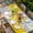 Yellow, variant on Sage Green Abstract Table Cloths for 6 Foot Rectangle Tables, Grey Geometric Oil Painting Vintage Patio Waterproof Elastic Fitted Tablecloths, Washable Rectangular Table Cover for Camping