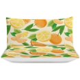 thumbnail image 3 of HAHDAXIA Orange Fruit Pattern Bedding Solid Comforter Set for All Seasons,3 Pieces(1 Comforter+2 Pillowcases),Soft Microfiber Bedding Set Twin(86"x70"), 3 of 7