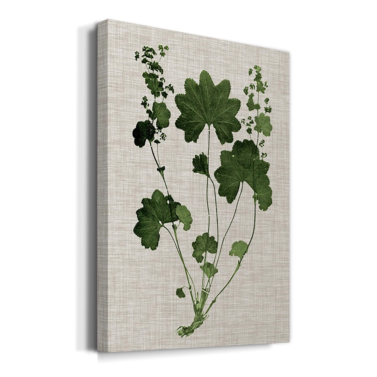 Forest Foliage on Linen IV Premium Gallery Wrapped Canvas - Ready to Hang