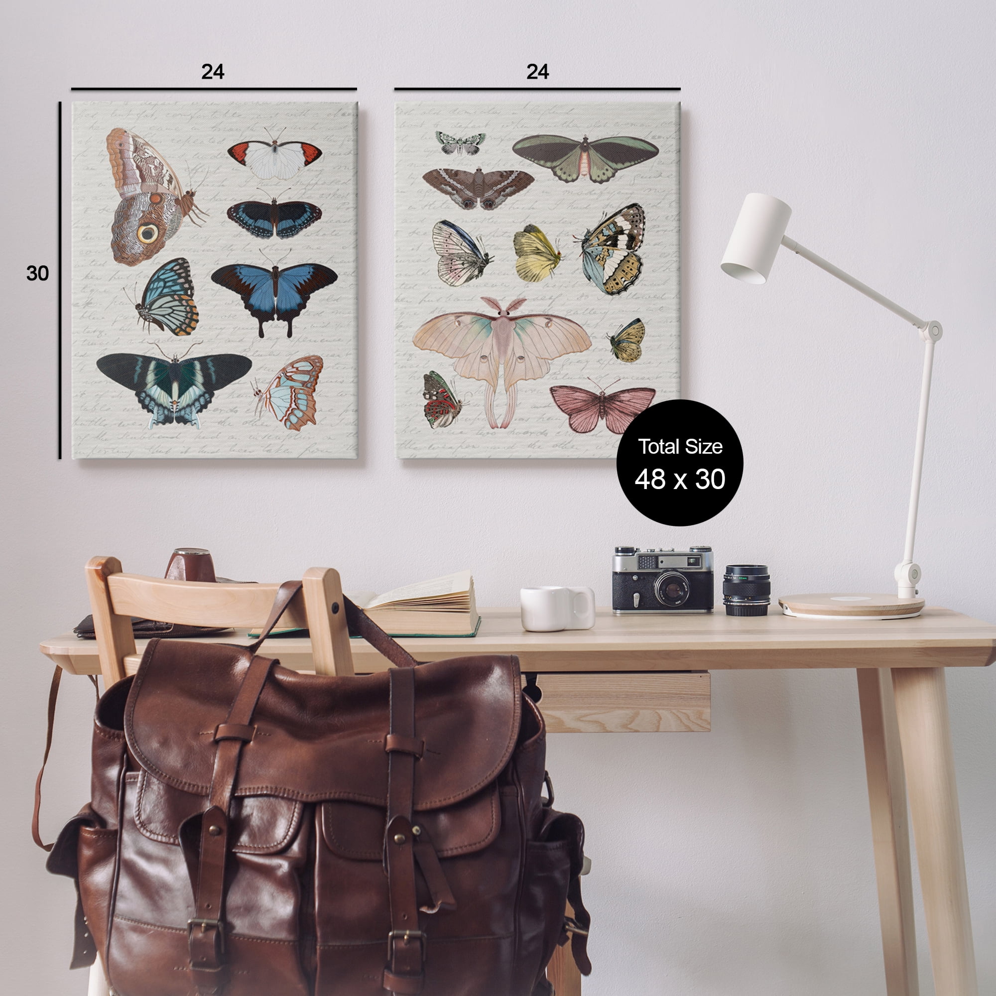 Stupell Industries Vintage Butterflies & Moths Animals & Insects Painting Gallery Wrapped Canvas Art Print Wall Art, 24 x 30, Set of 2