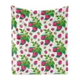 thumbnail image 1 of Fruit Soft Flannel Fleece Throw Blanket, Spring Botanical Art Raspberries with Green Leaves, Cozy Plush for Indoor and Outdoor Use, 70" x 90", Green Magenta, by Ambesonne, 1 of 6