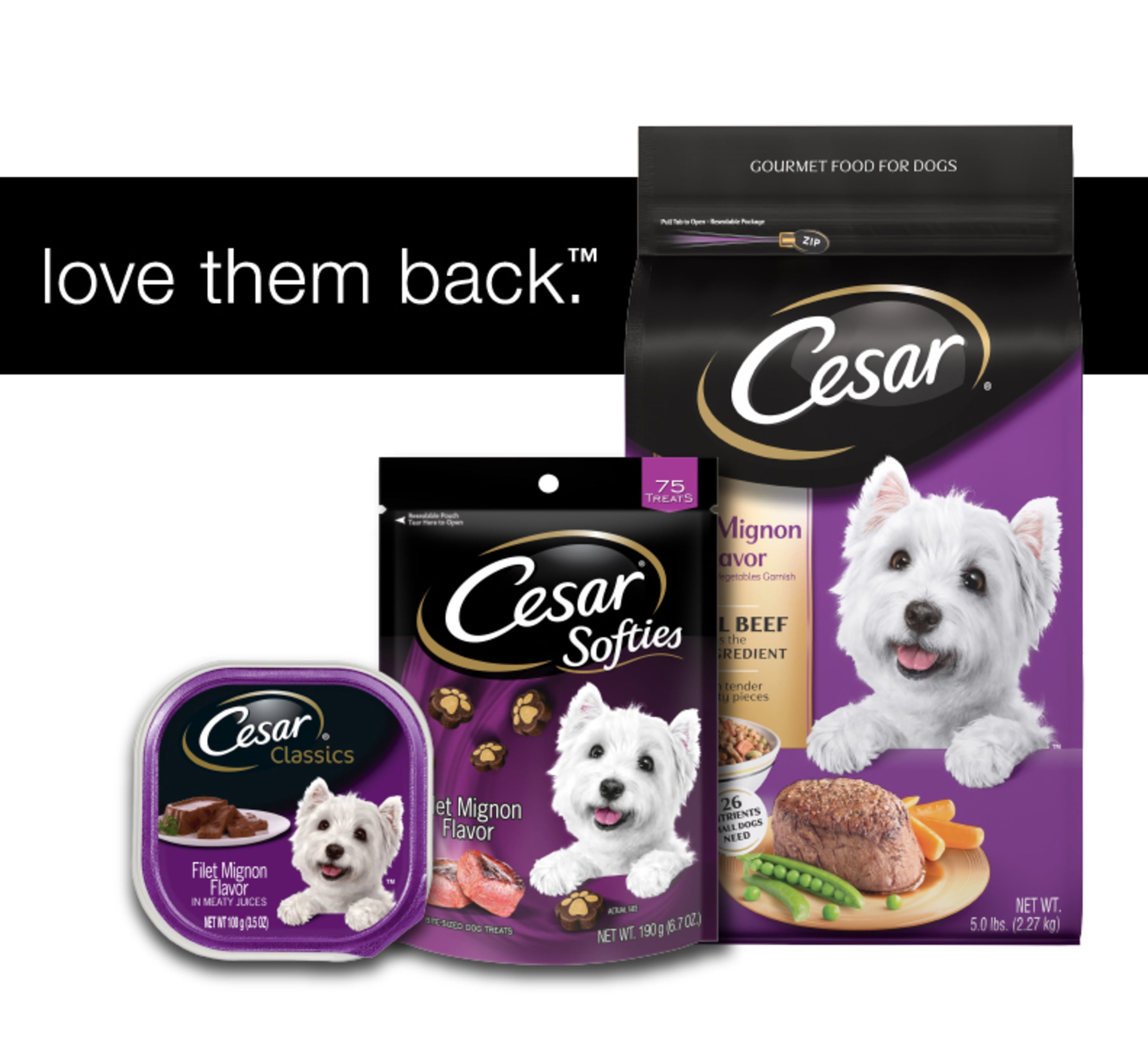 cesar dry dog food filet mignon