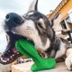 thumbnail image 2 of Cepillos de dientes para perros, juguetes masticables para perros, palitos de limpieza de dientes para perros para la salud dental y el cuidado dental de los cachorros (verde B), 2 of 3