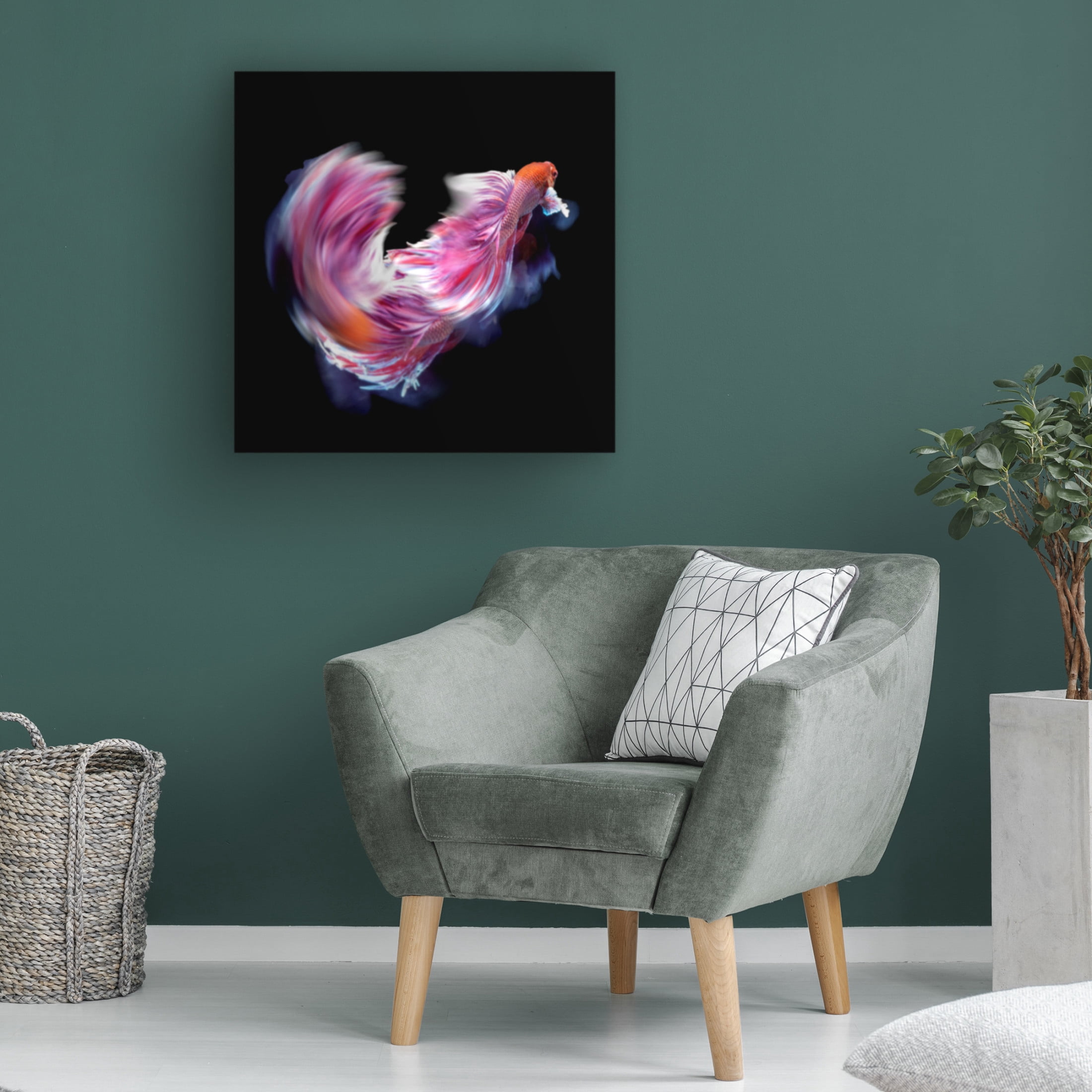 Canvas Wall Art - Antonyus Bunjamin 'Bettafish Dance Motion' Wall Art for Living Room, Bedroom, or Office Décor by Trademark Fine Art - 14 x 14 Inches
