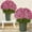 Pink, variant on 12 inch 20PCS Artificial Fall Potted Mum Plant Faux Floral Arrangement in Woven Basket for Front Porch Indoor Home Autumn Harvest Decor Red