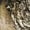 Mossy Oak Bottomland, variant on Mossy Oak Men's Deck Boots, Mossy Oak Bottomland, Size 13