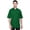Green, variant on WARRIOR POINT men's chef coat half sleeve PolyCotton slim fit chef coat size-(S-6XL)