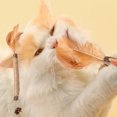 thumbnail image 4 of Juguetes Interactivos Ganfancp para Gatos Catnip Crinkle Sonido Suaves y Robustos Liquidación 1X Juguete Morde, 4 of 5
