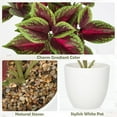 thumbnail image 4 of RotHome Small Fake Perilla Plant, Artificial Indoor Potted Greenery for Bathroom Shelf and Coffee Table Decor, Realistic Faux Houseplant, 8.66 Inch, 1 Pack, 4 of 8