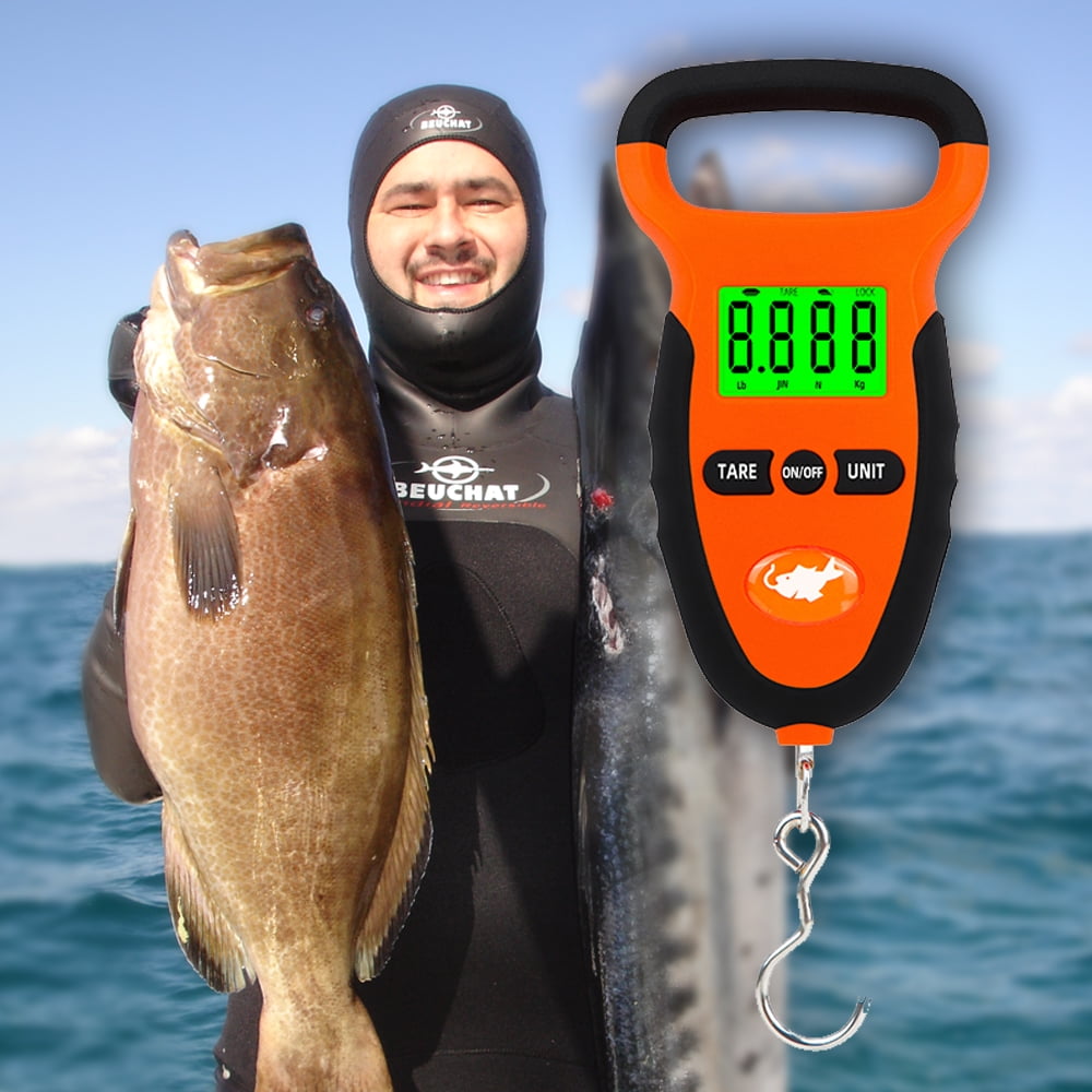 FISCH WAAGE 22KG Kofferwaage Koffer Wiegen Kg Angler Angeln Forelle