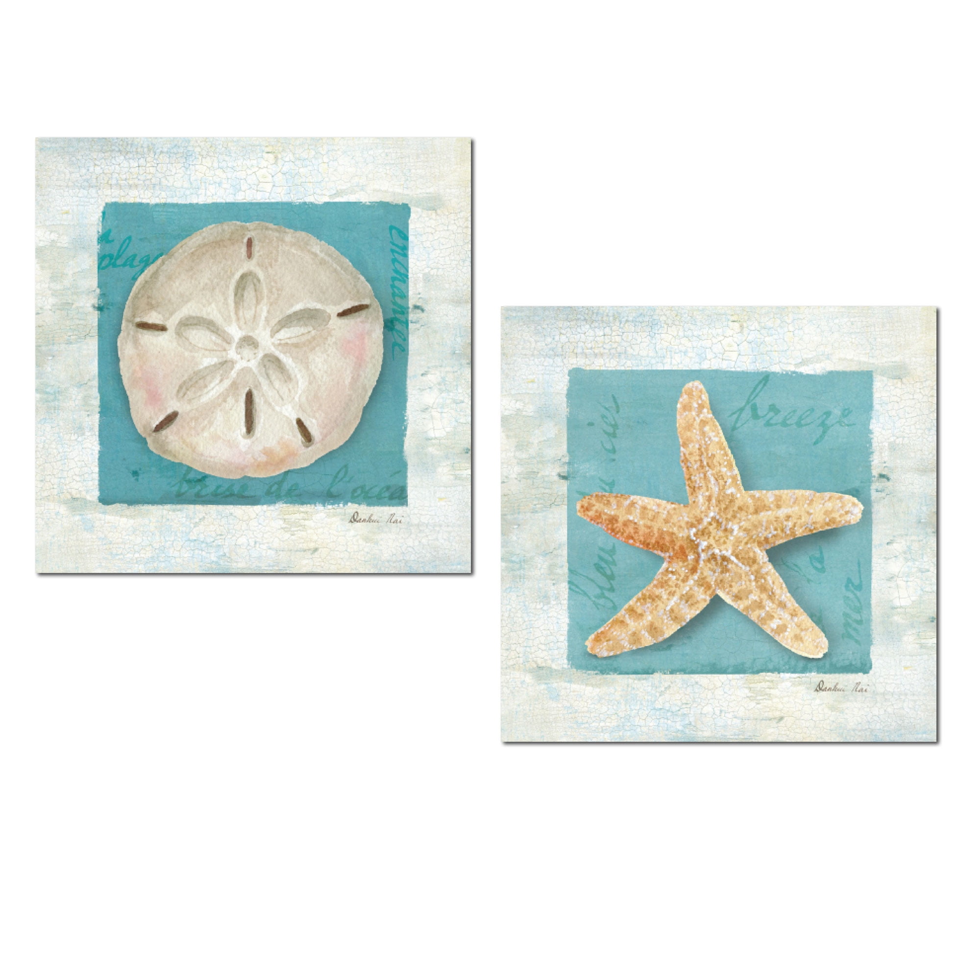 Shell Sand Dollar Starfish Hand Towels Bath Bathroom Beach House Set of 2 Green 