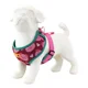 thumbnail image 3 of Pechera Arnes Ajustable Con Correa Para Perro, 3 of 8