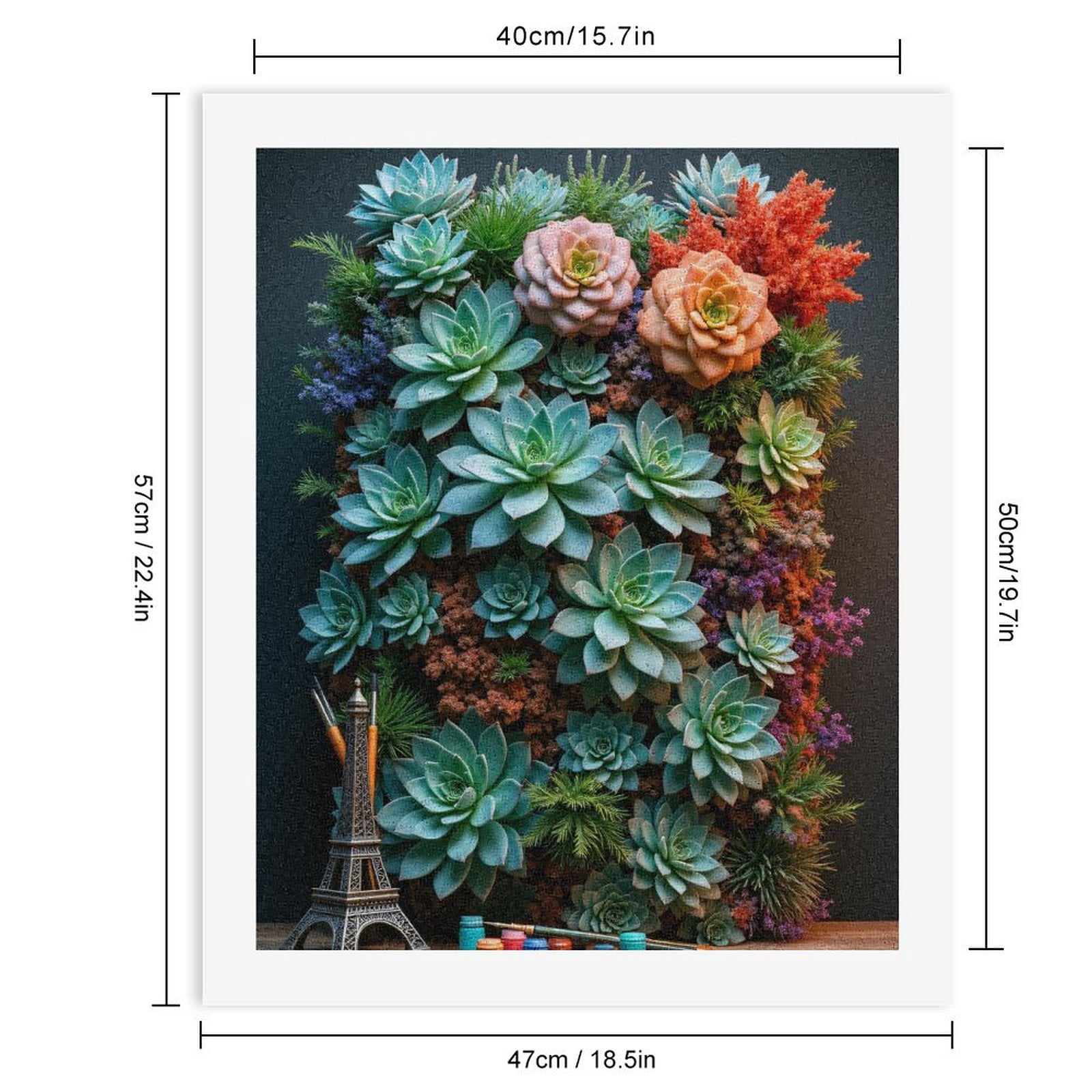 Paint By Numbers Kit for Adults Beginner - Succulent Wall Art With Paint Supplies DIY Canvas Painting Kits for Adults, Frameless Paint By Number for Adults for Home Wall Decor 16x20 Inch