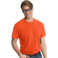 thumbnail image 1 of Hanes Adult Nano Tee, 1 of 1