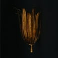 thumbnail image 3 of Capital Lighting - Eden - 1 Light Wall Sconce In Bohemian Style-13.75 Inches, 3 of 4