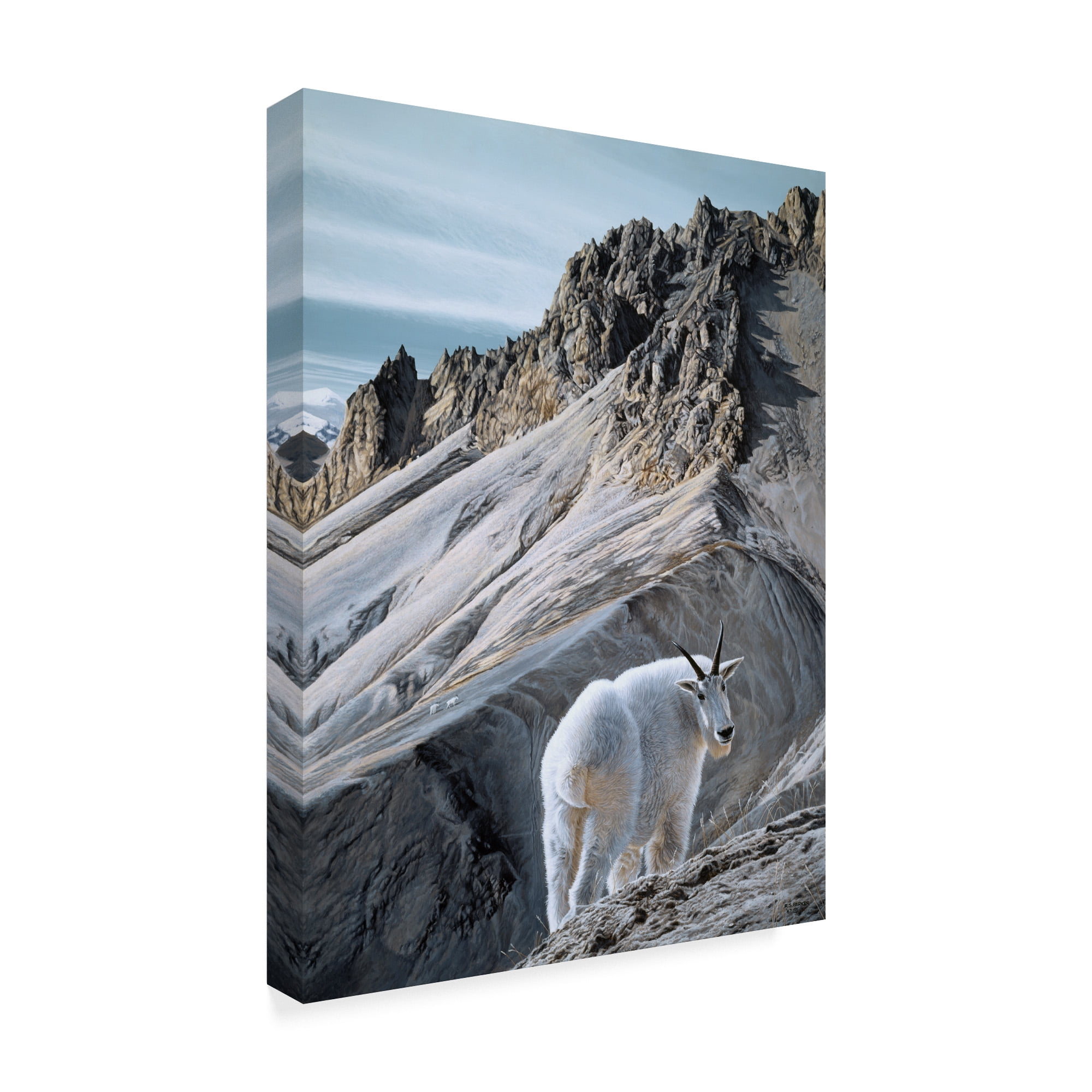 Trademark Fine Art 'Ramparts Mountain Goats' Canvas Art by Ron Parker
