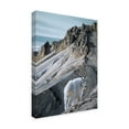 thumbnail image 2 of Trademark Fine Art 'Ramparts Mountain Goats' Canvas Art by Ron Parker, 2 of 3
