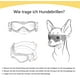 thumbnail image 4 of Gafas para perros pequeños, gafas de sol con protección UV para perros con correa de goma ajustable, gafas de motocicleta para perros a prueba de viento, 4 of 5