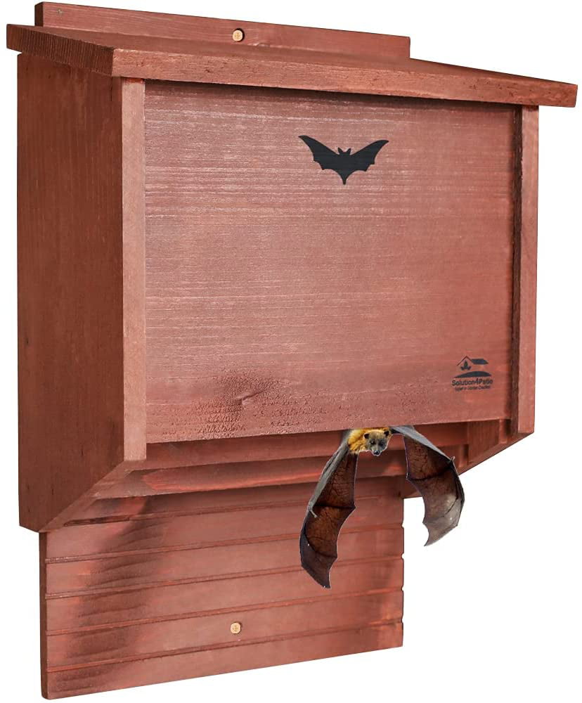 Large Double Chamber Bat Handcrafted Wooden Bat House Box for The Outdoors 