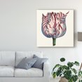 thumbnail image 3 of Trademark Fine Art 'Tulip Garden VI' Canvas Art by Vision Studio, 3 of 4