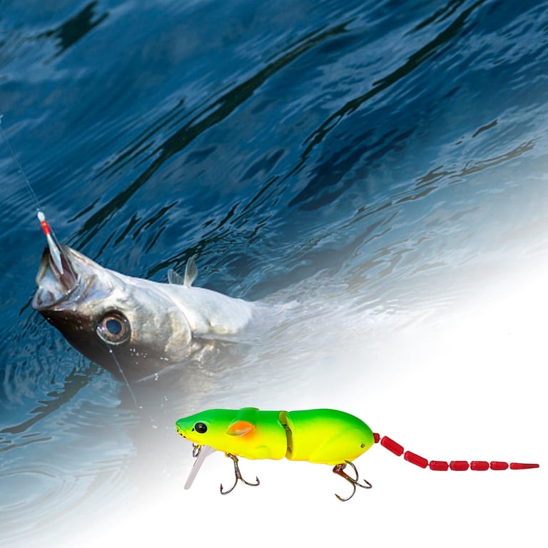 drsigns for mouse 3d.fishing.lures Spirebuzz Ratstrike Lure,Spirebuzz Ratstrike 3D Lifelike Rat Topwater Lure,Premium Bionic Spirebuzz Fishing Lure,for Bass Trout,Catfish,for Freshwater Saltwater Angling(6pcs) : Sports & Outdoors This lure features a top hook option that allows it to be fished over and around heavy cover areas. 6 Pcs Mouse Fishing Lures