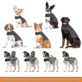 thumbnail image 3 of Dog Anxiety Jacket | Vet Recommended Calming Solution Vest For Fireworks, Thunder, Travel, & Separation, 3 of 5