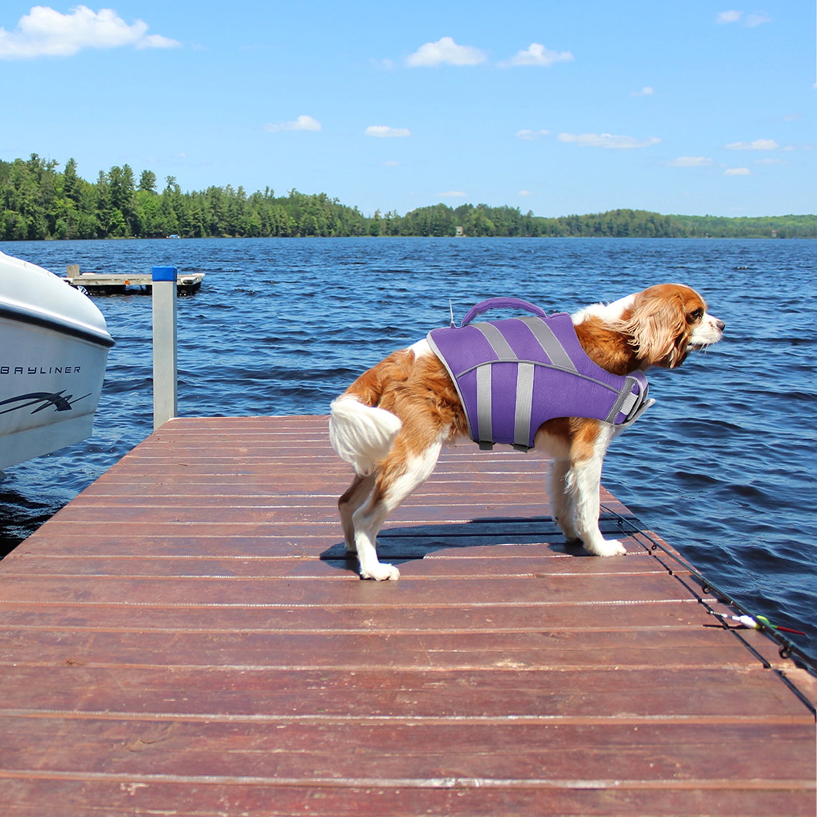 Kuoser Dog Life Jacket with Reflective Stripes, Adjustable Dog Life Vest, Purple, M