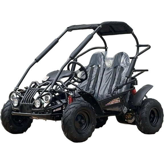 TRAILMASTER Mid XRX/R - Deluxe Go Kart Buggy with Reverse, Full roll cage and Safety Harness, Ages 10 and up, 196 CC Electric Start. (Black)