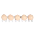 thumbnail image 4 of Celector de Huevo de Gallina de Confiable, Accesorio de Recolectores de Huevo de 5 Piezas, Material de PP para Plosos Patos Gansos Otras Aves de Corral, 4 of 7