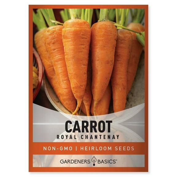 Royal Chantenay Carrot Seeds