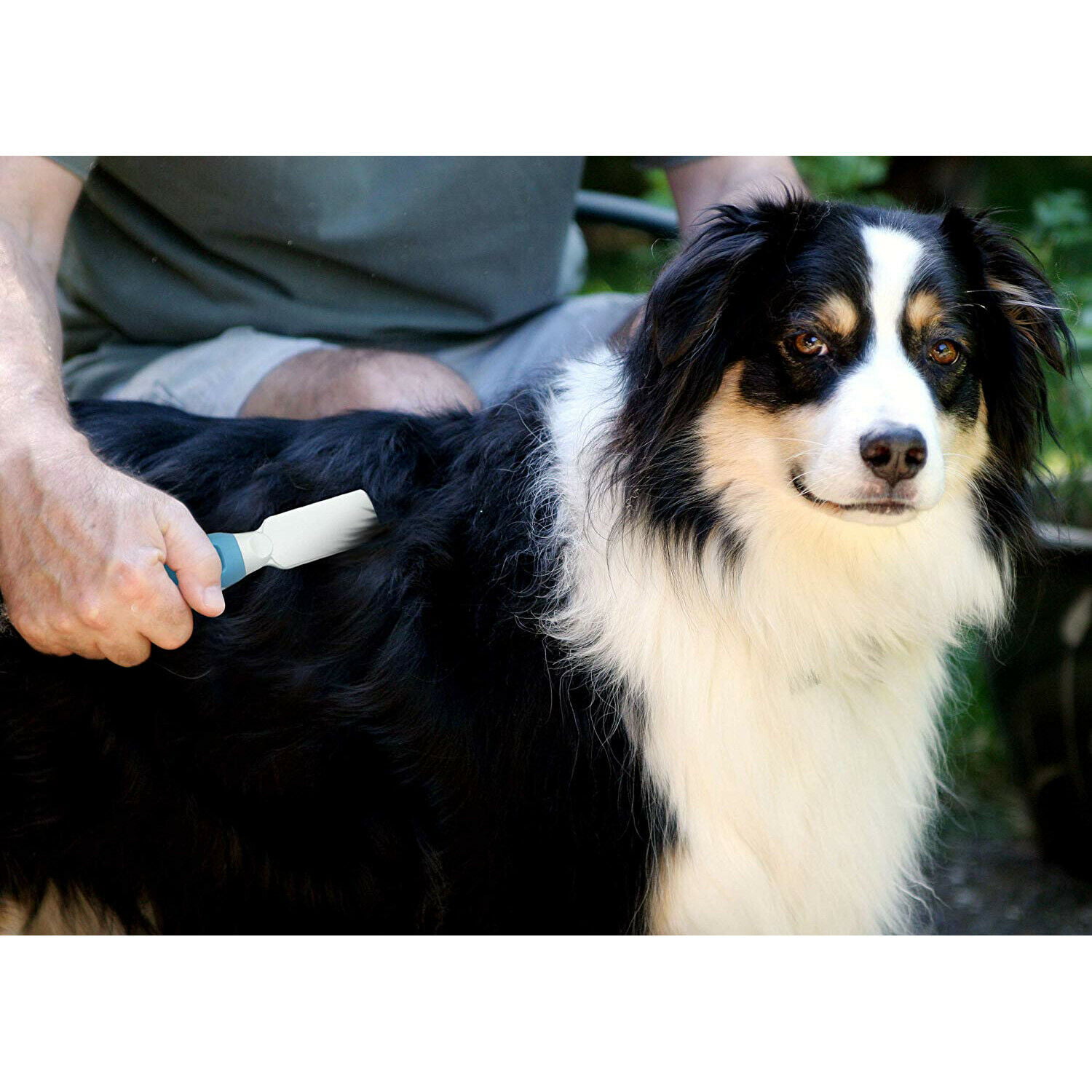  Pets First Professional Pet Mat Remover - Dematting