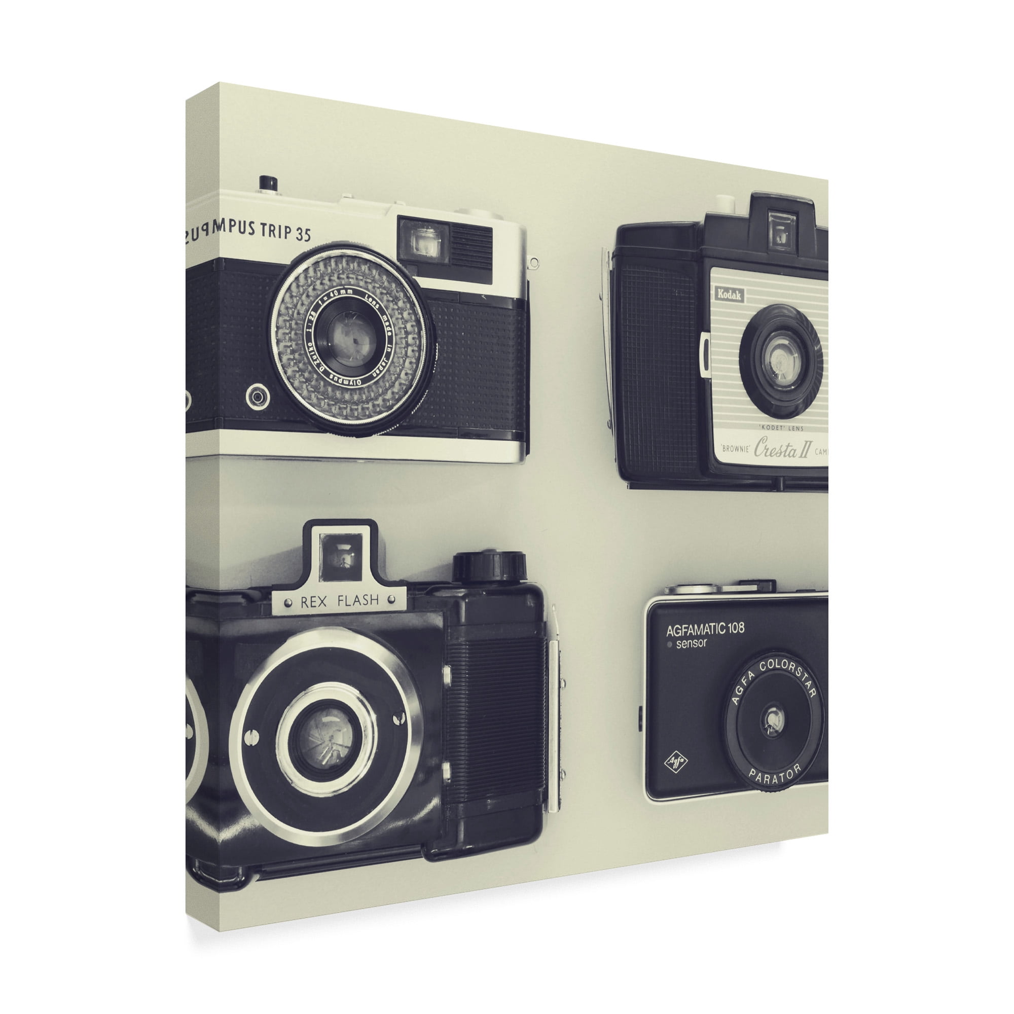 Trademark Fine Art '4 Vintage Cameras' Canvas Art by Tom Quartermaine