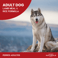 thumbnail image 2 of Combo Diamond Naturals Adult Dog Lamb Meal & Rice Formula 9.07 Kg MAS Dos Latas Royal Canin Adulto 3, 2 of 5