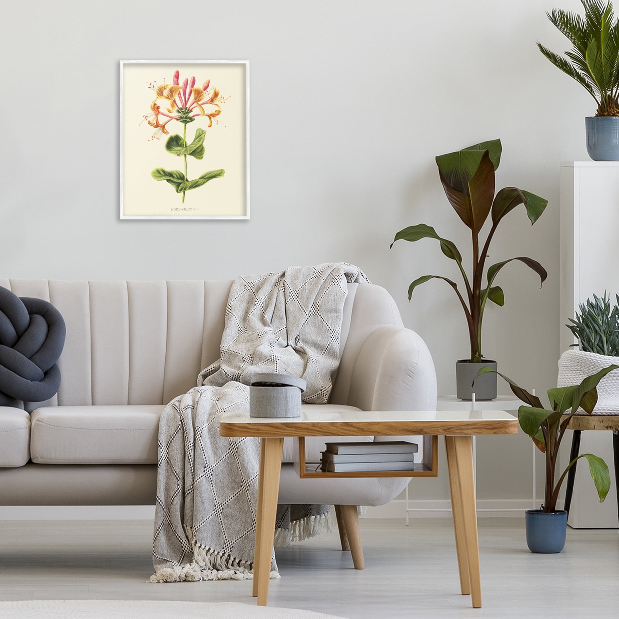 Stupell Industries Honeysuckle Vintage Illustration White Framed Giclee Art, design by Connie Resch