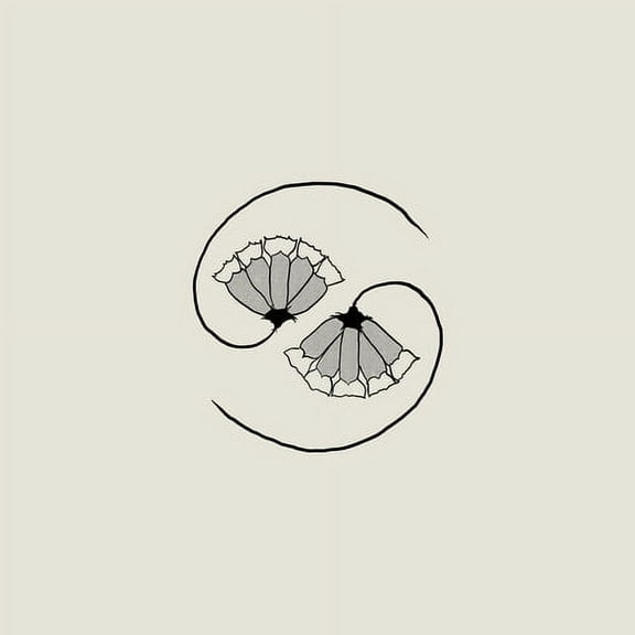 Godspeed You Black Emperor - G_d's Pee AT STATE'S END! (Incl. 10") - Music & Performance - Vinyl