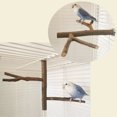 thumbnail image 3 of Multi Stand Branch Parrot Perch Bird Cage Toys Natural Bird Perch Stand For Small Budgies Conure Parrot Parakeets, 3 of 8